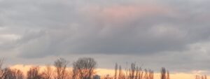 cropped-20201217_162058-scaled-2.jpg