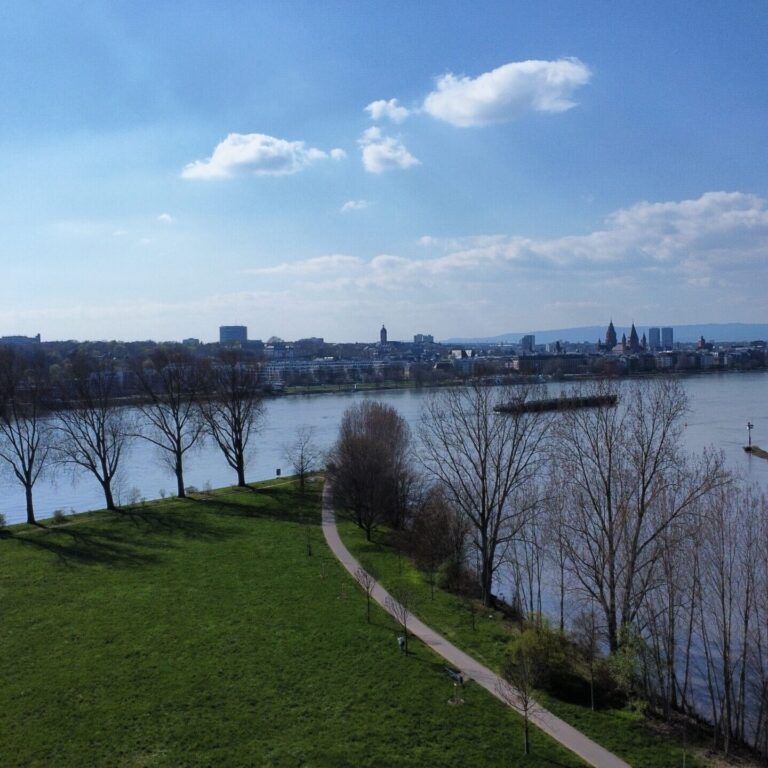 dji_fly_20230405_160420_28_1680713072793_photo_optimized